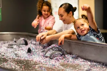 Best Indoor Activities in New Zealand
